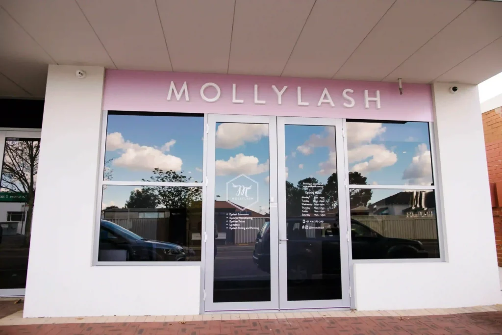 mollylash Carlisle Eyelash Extensions Course in Perth