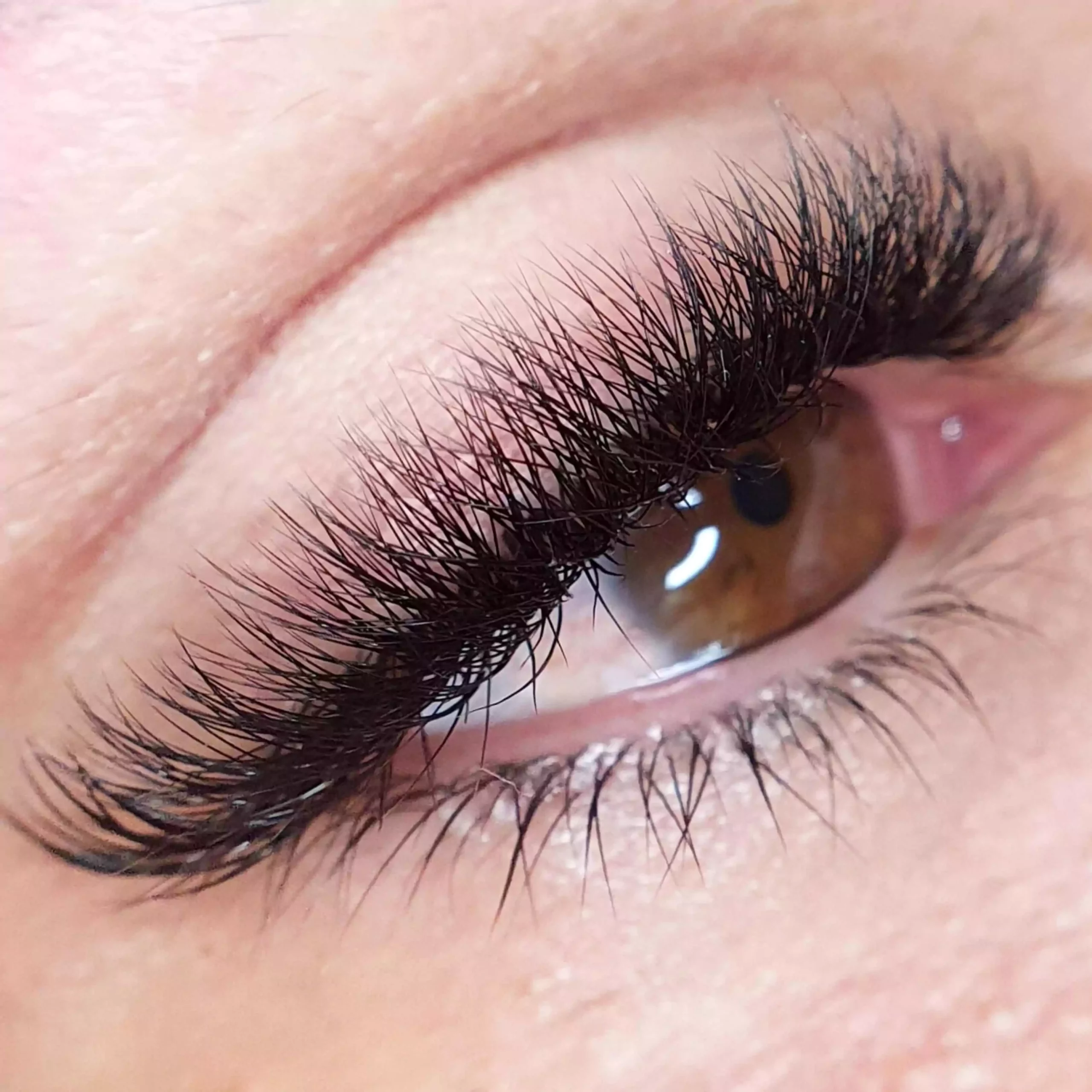 eyelash extensions natural volume 3D 8